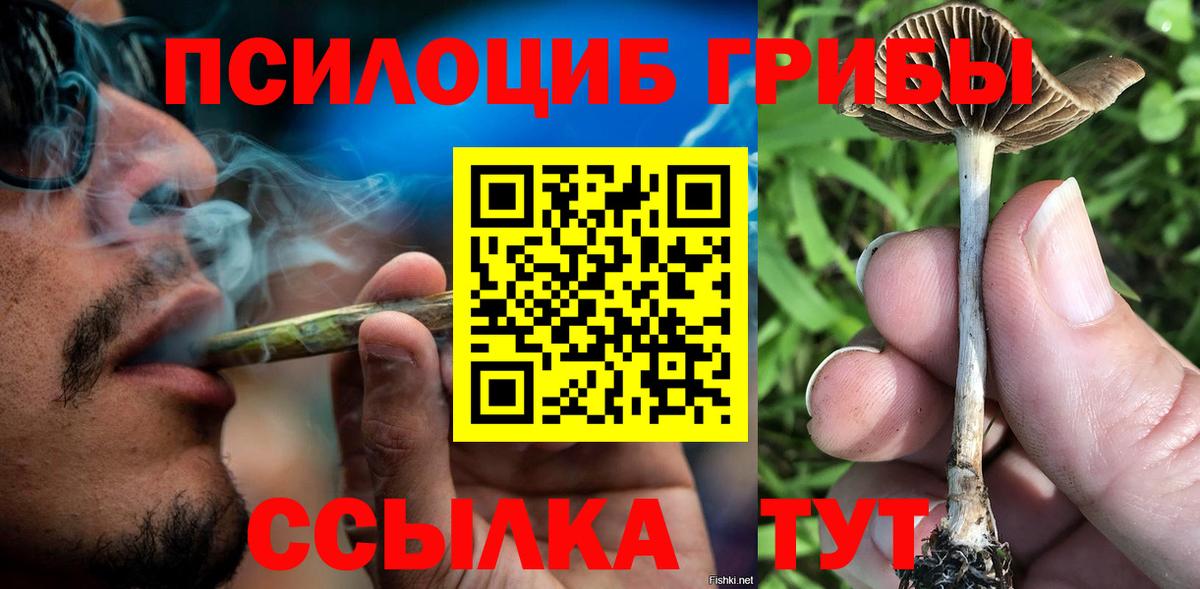 Петрозаводск  Галлюциногенные грибы GOLDEN TEACHER  Галлюциногенные грибы прущие грибы  купить наркотик  Вход с VPN 