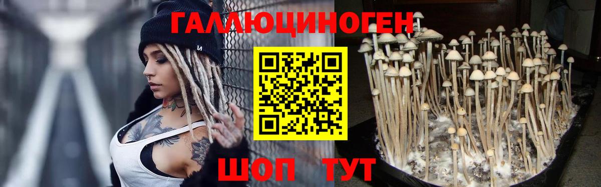 Псилоцибиновые грибы мухоморы Петрозаводск